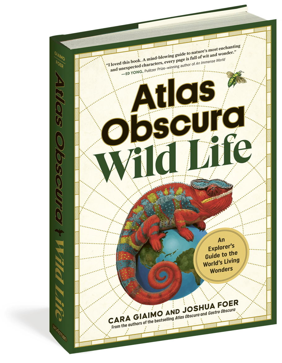 Wild Life Book Cover