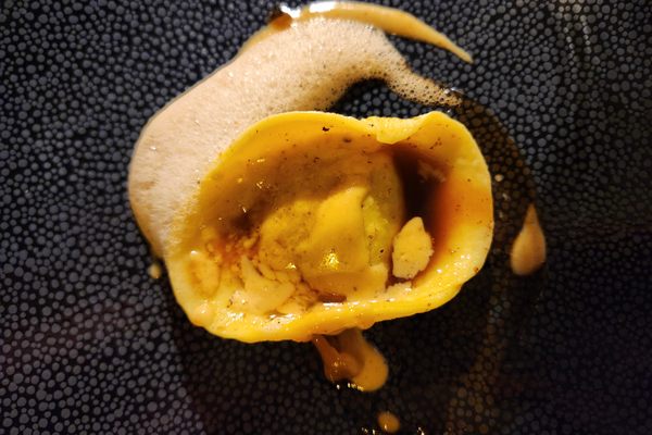 The ravioli are a signature here.