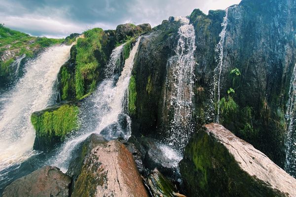 Loup of Fintry