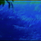 knoxium