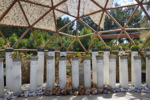 Some two dozen white tubes sit in front of a triangle lattice wall
