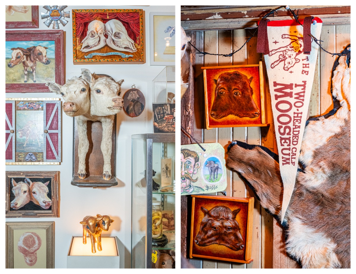 Gibbs created hundreds of drawings, paintings, and other pieces of art that line the walls of the museum, interspersed with mounted taxidermy.