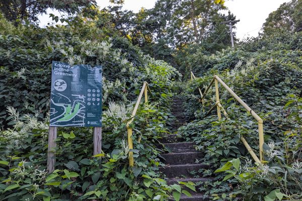 Knoxville Incline Overlook Park - stairs near Welsh Way