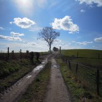 Profile image for Capemarsh