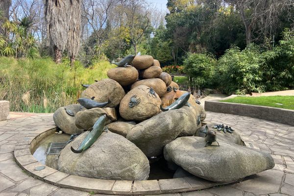 The Dolphin Fountain