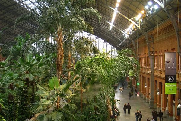 Jardín Tropical Estación de Atocha.