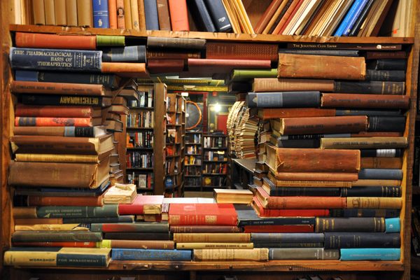 Portal of books.