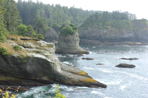 Cape Flattery