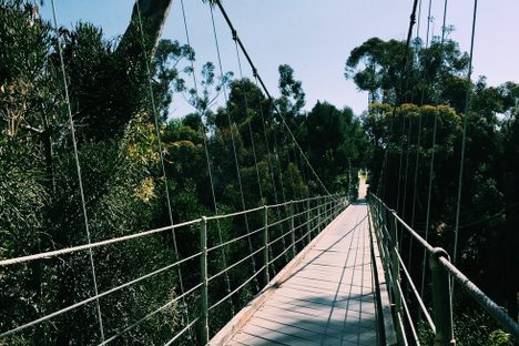 Spruce Street Suspension Bridge