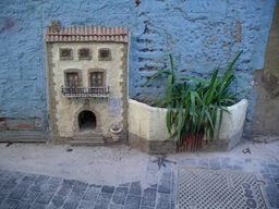 The tiny house and garden.