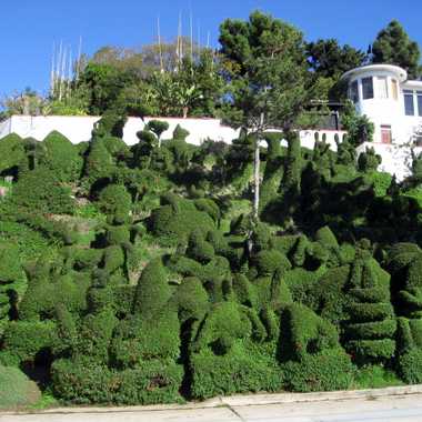 Harper&#8217;s Topiary Garden