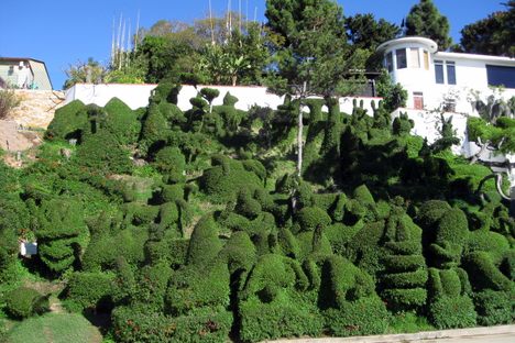 Harper’s Topiary Garden