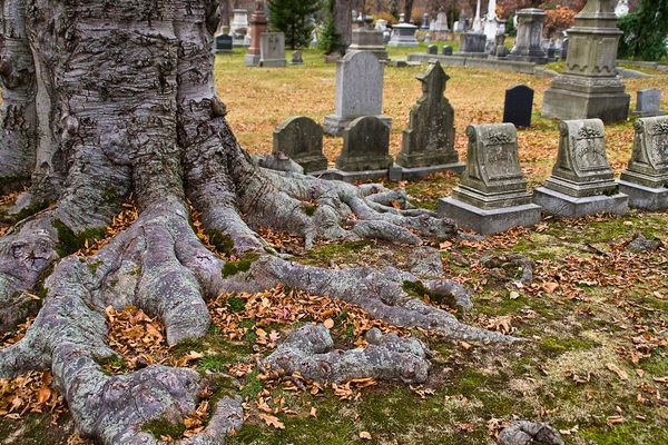 Forest Hills Cemetery