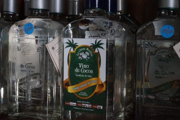 When fermented tuba gets distilled, just one fifth of the volume becomes vino de cocos.