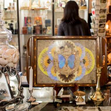Audra Kunkle mounts some specimens in a workspace above the store.