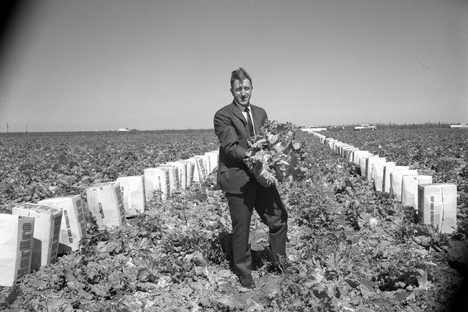 Puzant Torigian holds a head of lettuce in a Texas field.