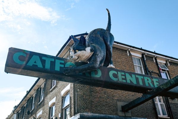 Numerous attempts to take down the Catford Cat have failed over the years.