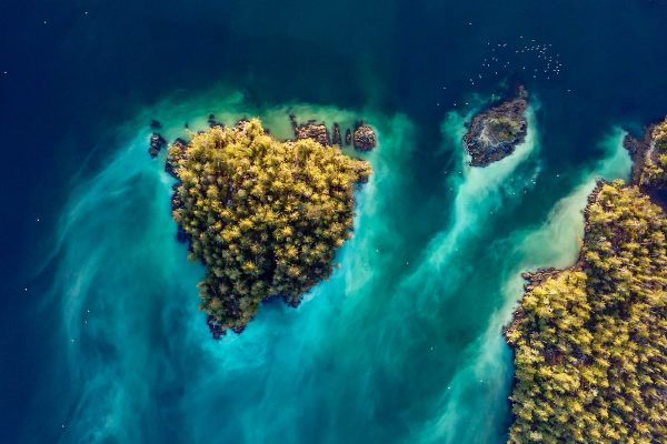 Kitasoo Xai’xais First Nation’s Gitdisdzu Lugyeks Marine Protected Area (MPA) was recently awarded a coveted “blue park” status by a renowned international ocean conservation group.