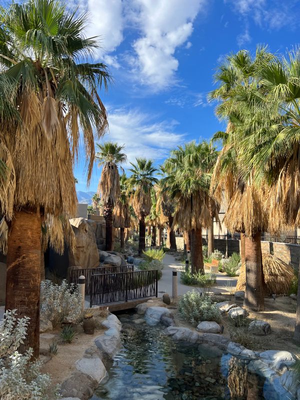 The Oasis Trail at the Agua Caliente Cultural Center.