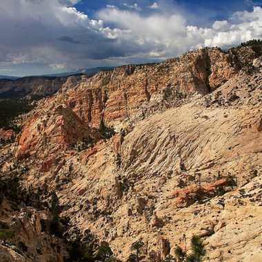 View from Hell&#8217;s Backbone Bridge overlooking Box-Death Hollow Wilderness Area