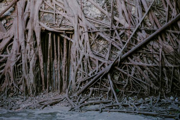 A former doorway in the Anping Tree House.