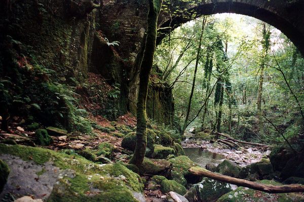 Green arch in Fragas do Eume.