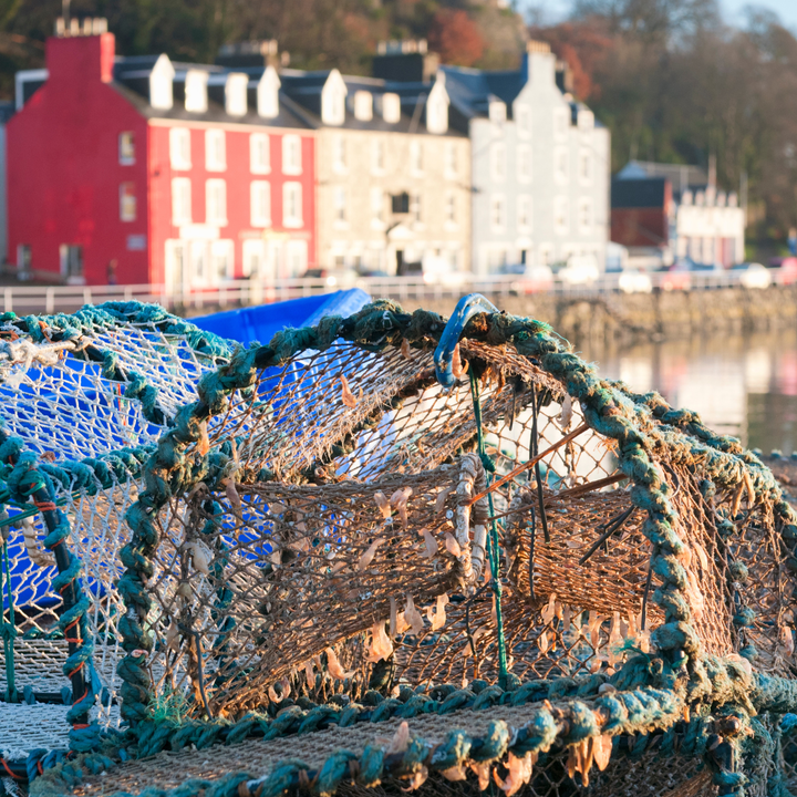 Fishing pots in Tobermory.
