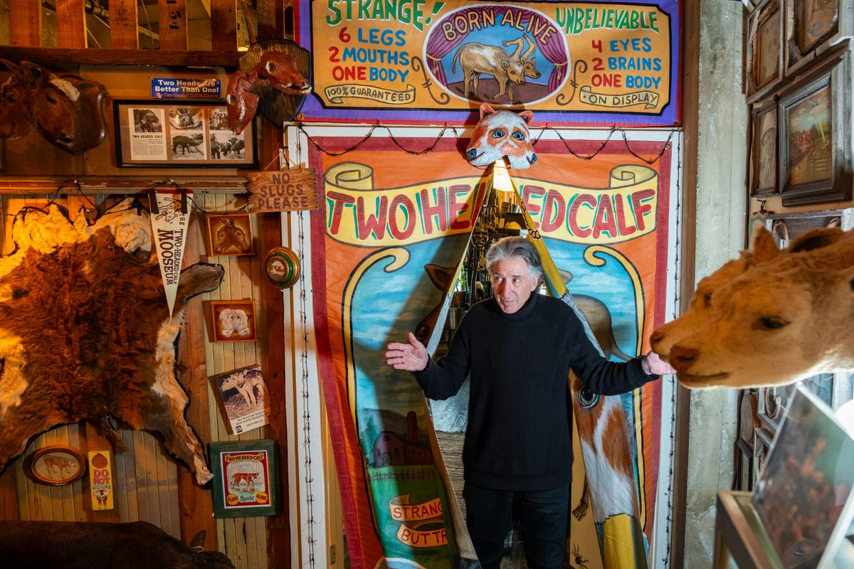 Rosenthal opens the hand-painted curtain that marks the entrance to a collection of taxidermy and art that celebrates the two-headed calf (and other two-headed animals).