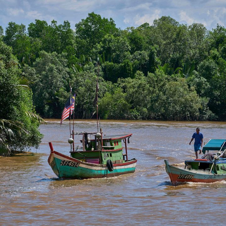 Kinabatangan River excursion.